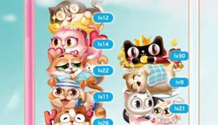 淘宝新人超级猫是什么 有什么用