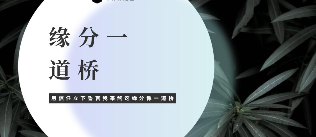 抖音用信任立下誓言我来熬这缘分像一道桥歌曲信息