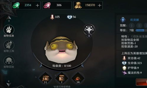 拉结尔宠物喂食方法介绍