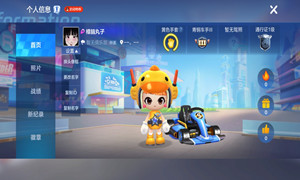 跑跑卡丁车手游改性别说明