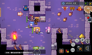 伊洛纳家的容量扩大说明