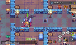 伊洛纳骑乘技能位置介绍