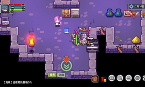 伊洛纳银猫捕捉方法