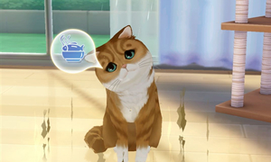 梦间集天鹅座宠物猫饲养方法介绍