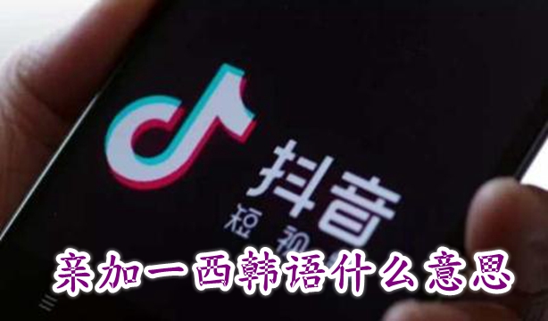 亲加一西韩语什么意思