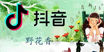 抖音每次都装作很倔强歌曲歌名分享