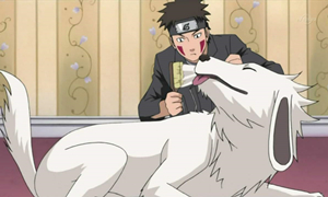 火影忍者手游公众号12月12日每日一题答案