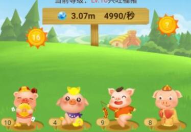 阳光养猪场赚钱方法介绍