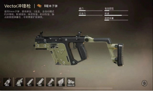 和平精英公众号2月13日答题抽奖