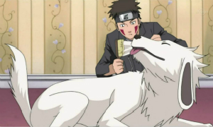 火影忍者手游2月18日每日一题答案