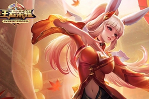 王者荣耀adc是什么意思是什么