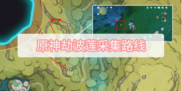 原神劫波莲采集路线