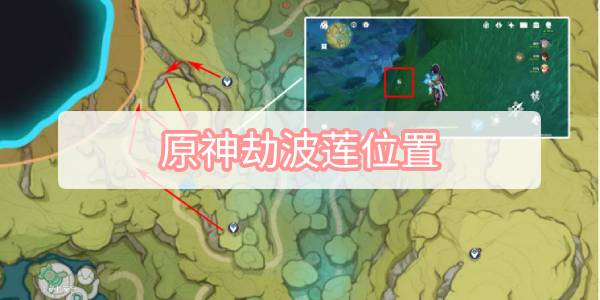 原神劫波莲位置