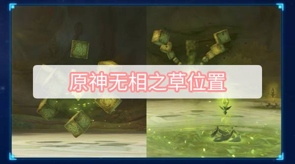 原神无相之草位置