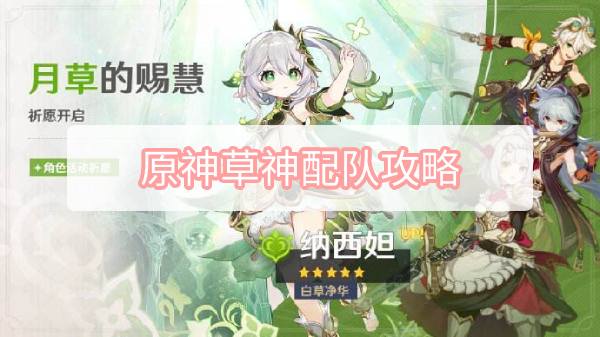 原神草神配队攻略
