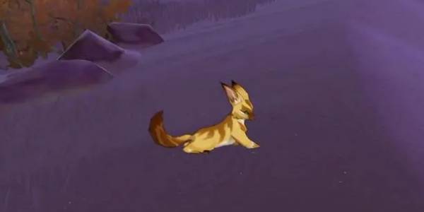 原神沙狐位置攻略