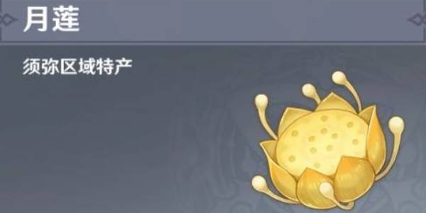 原神月莲采集路线