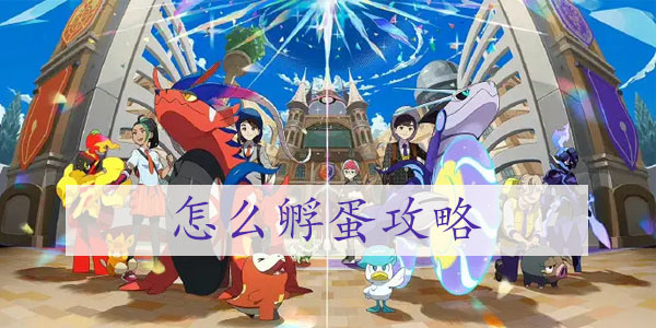 宝可梦朱紫怎么孵蛋