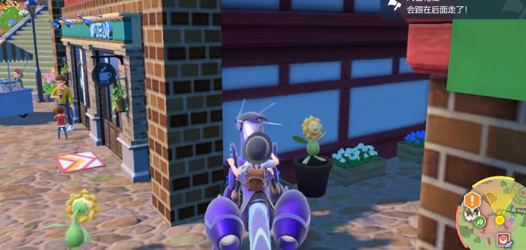 宝可梦朱紫普通道馆测验攻略