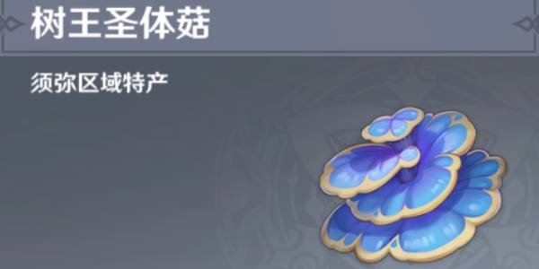 原神树王圣体菇位置