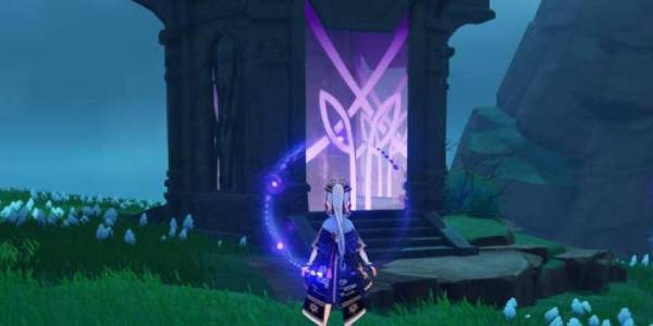 原神稻妻地灵龛在哪