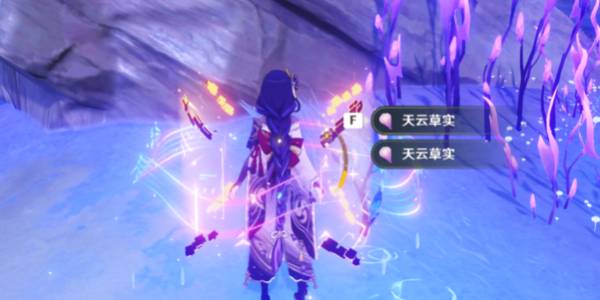 原神天云草实采集路线