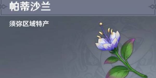 原神帕蒂沙兰采集路线攻略