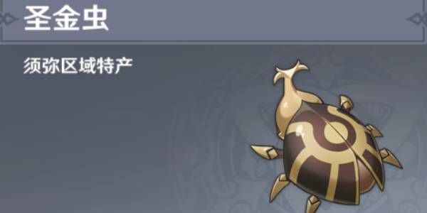 原神圣金虫采集路线攻略