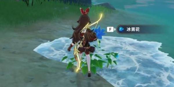 原神冰雾花花朵采集位置路线