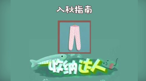 收纳达人入秋指南通关攻略