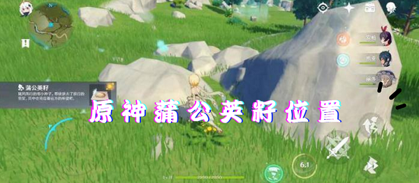 原神蒲公英籽在哪里