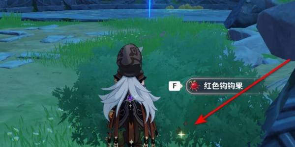 原神红色钩钩果在哪