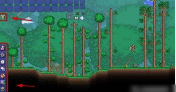 泰拉瑞亚怎么加好友手机版