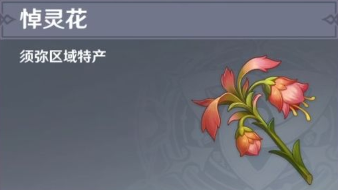 悼灵花采集路线