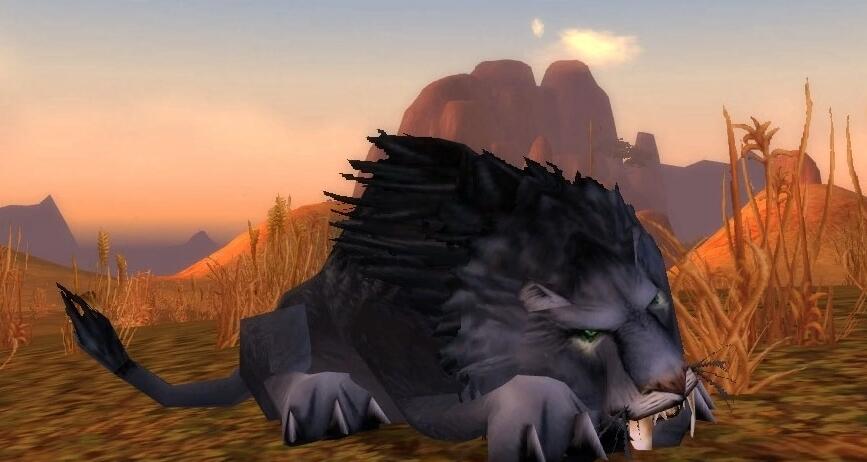 魔兽世界修玛在哪