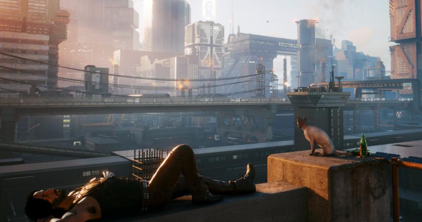 赛博朋克2077大赦怎么获得