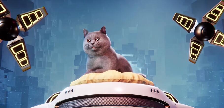 星球重启宙斯猫怎么领取