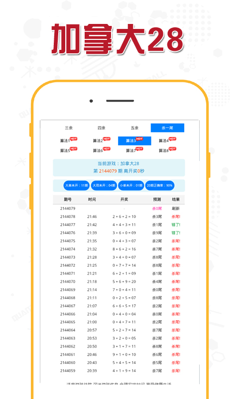 加拿大28